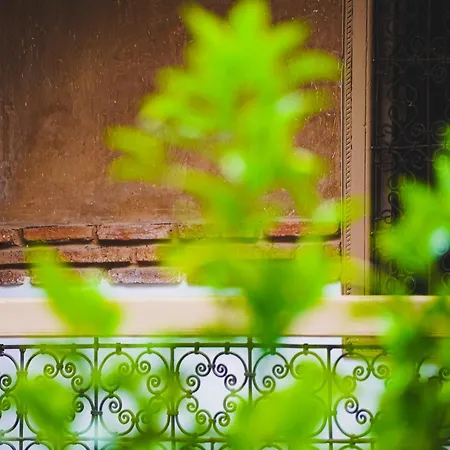 Riad Maison Palmier (Adults Only)-2