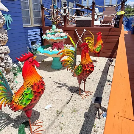 Blue Little Havana-3