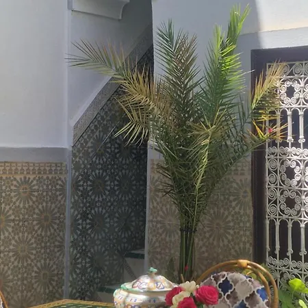 Riad Dalia-2