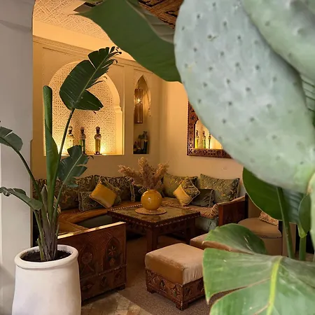 Riad Rêve d'Or-3
