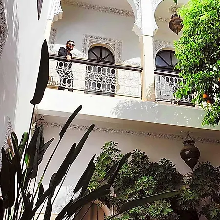Riad Amegrad-3
