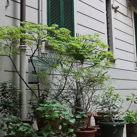 Lepetit Milano-3