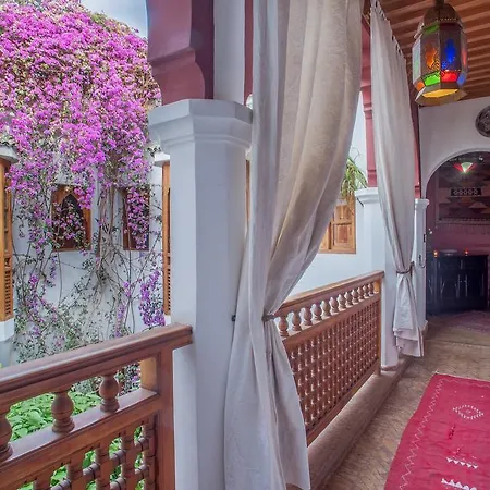 Riad Sadaka-2