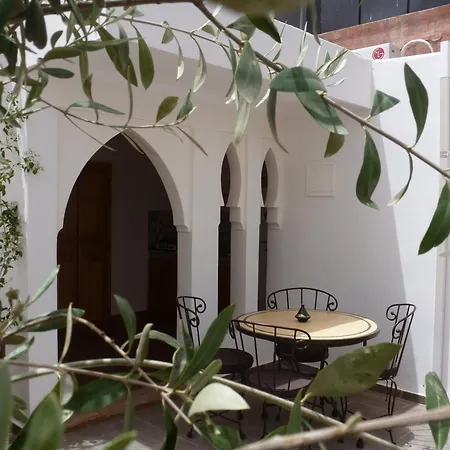 Riad Safina-2