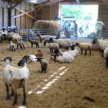 La Ferme Du Vincin-2