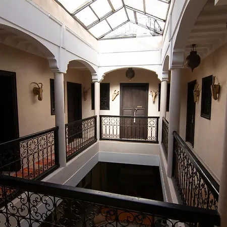 Riad Anrich-3