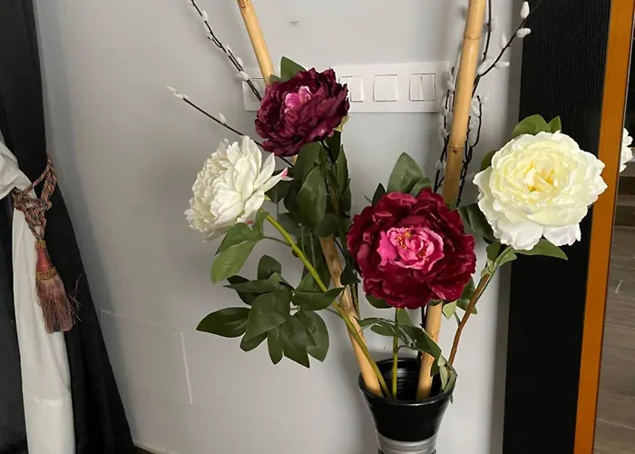 Hostal Corazon De Madrid