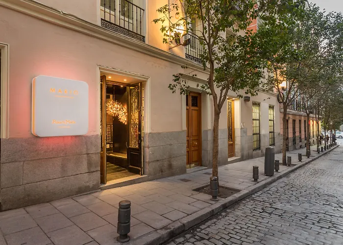 Room Mate Mario, Madrid