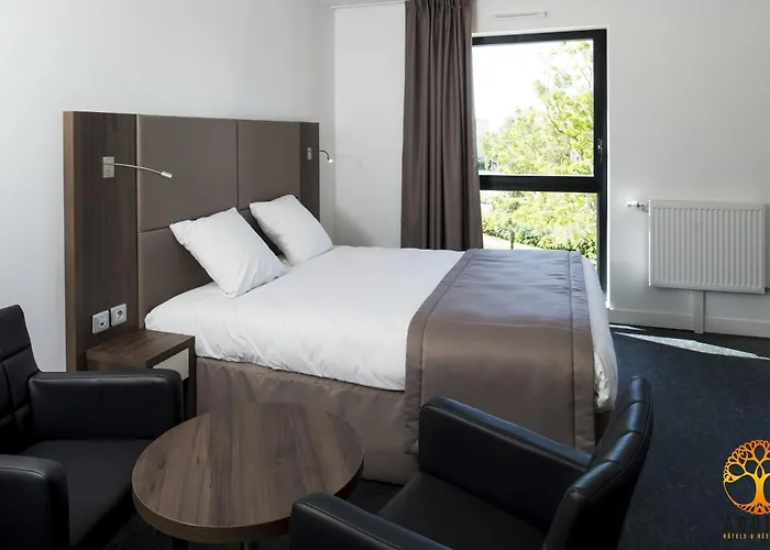 Adonis Dijon Maison Internationale