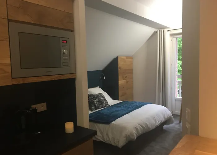 Appart'Hotel Aiguille Verte&Spa Chamonix