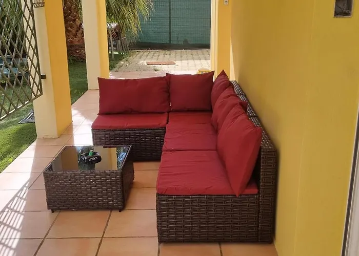 Le Jardin de la Palmeraie Cap d'Agde
