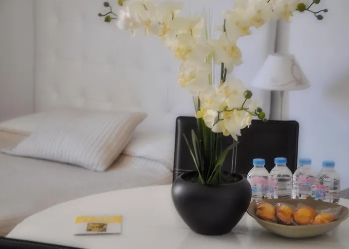 Seayousoon Inn Cannes - Studios