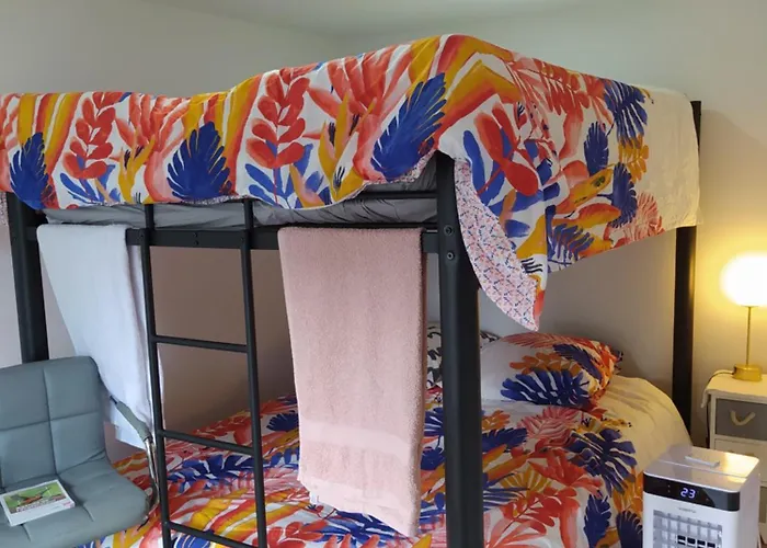 Bed and breakfast Locatif gare Lille Europe Souvenir
