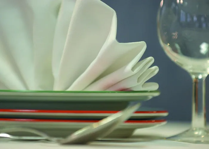 Hôtel Ariane Lourdes