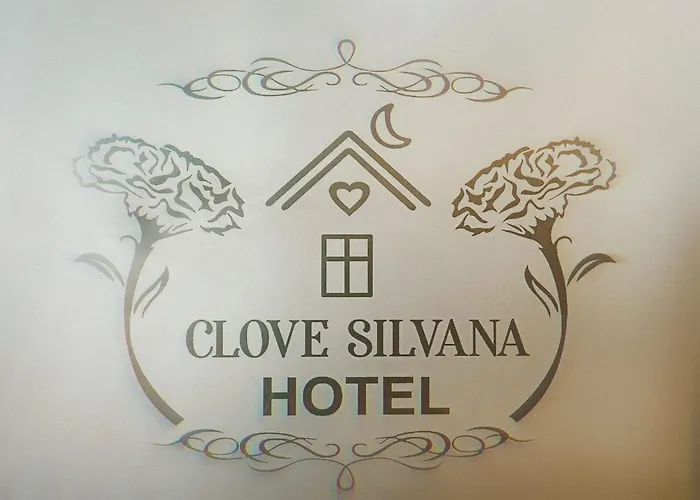 Clove Silvana Hotel Istambul