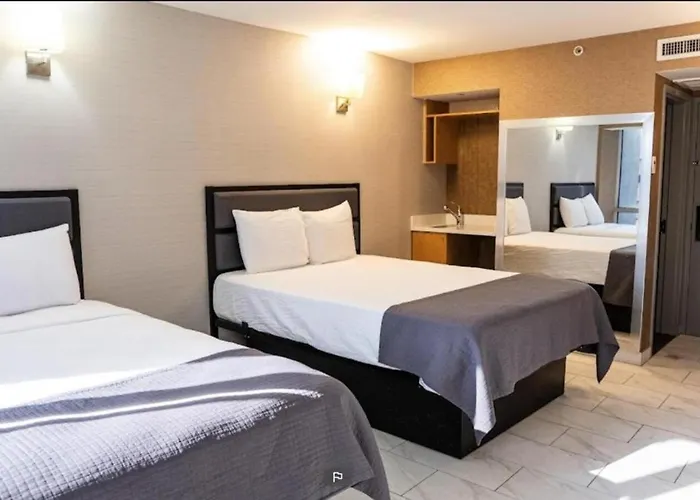 Hotel Moca Nyc New York