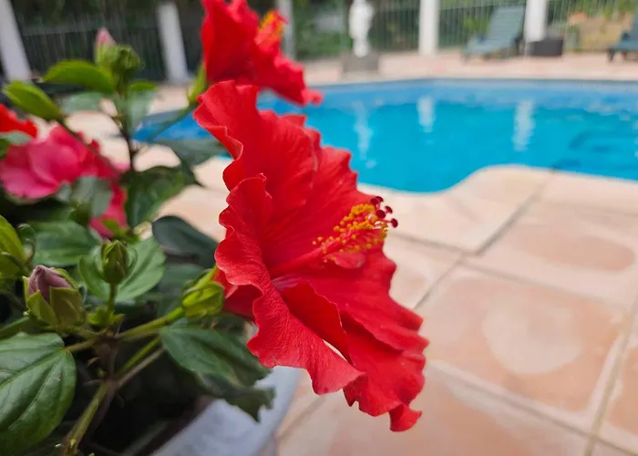 Hôtel Du Patriarche Agde