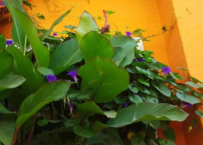 Sultan Hostel & Guesthouse Istambul