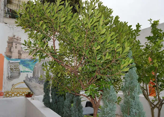 Terrace Lisbon Hostel