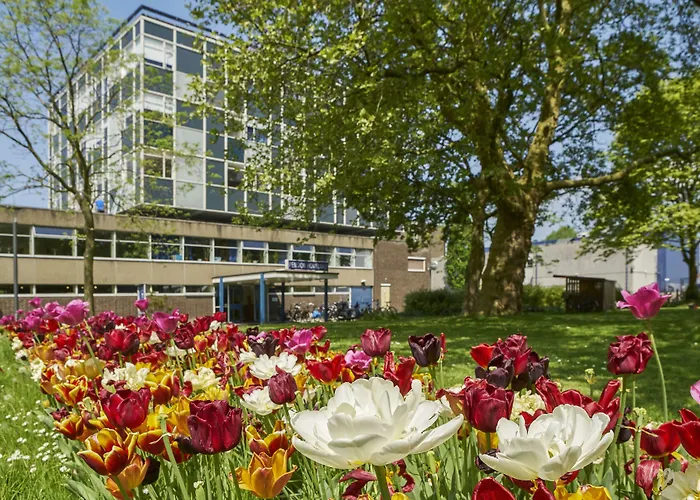 Hotel pas CherPension Homeland