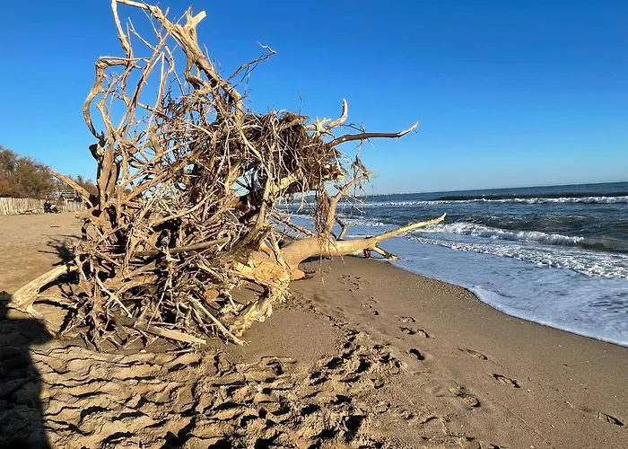 Hôtel Paul Riquet Béziers