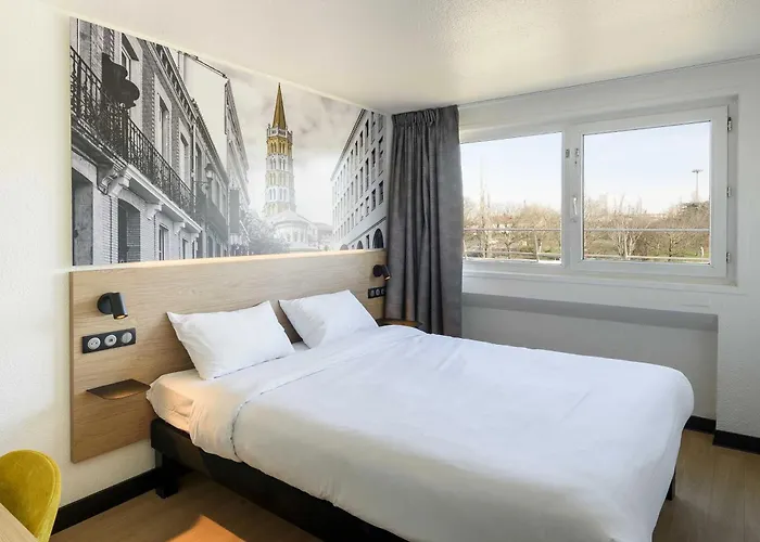 ibis Toulouse Université