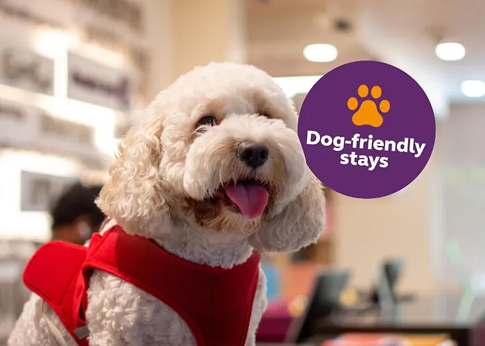 Premier Inn Dubai Al Jaddaf