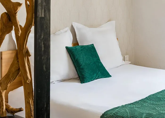 Atipik Hôtel Alexandra Annecy