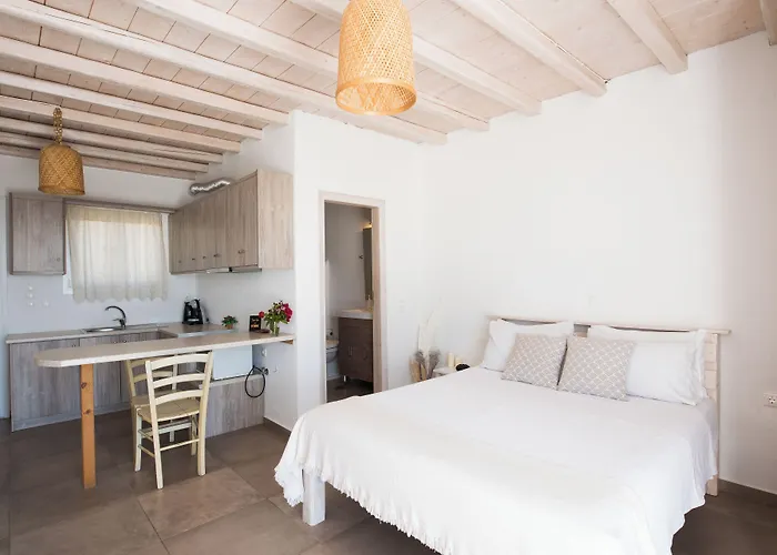 Hotel Eleanna'S Mykonos à Mykonos Town
