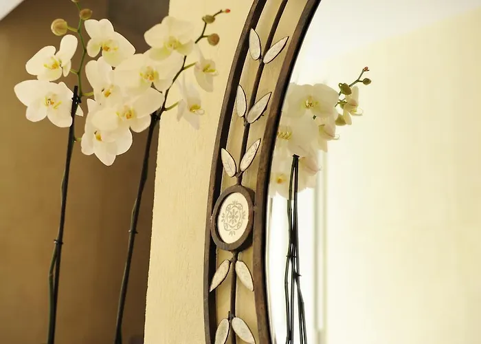 Autour Du Petit Paradis Avignon