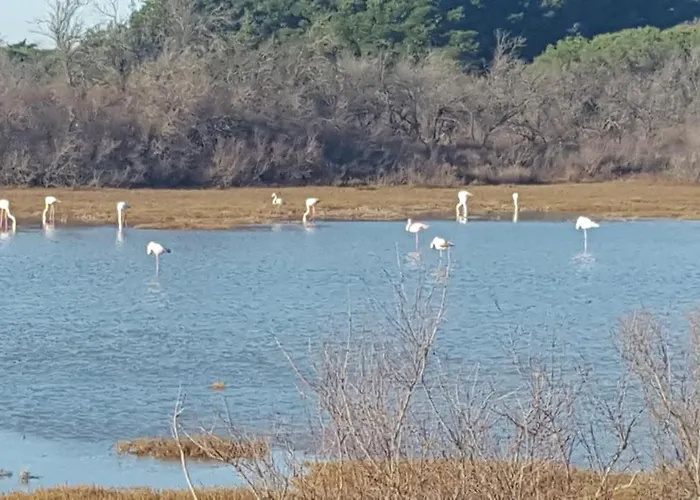 Hotel Confort Béziers