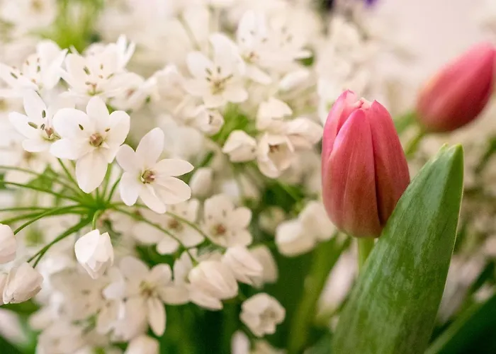 Bed and Breakfast Campo Marzio Charming à Rome