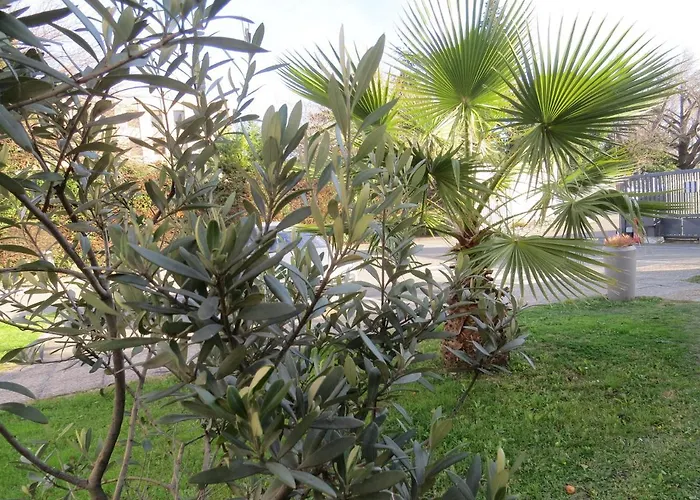 Hotel Kyriad Cap Sud Avignon